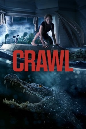 Crawl (2019) Hindi Dual Audio 480p Web-DL 300MB Crawl (2019) Hindi Dual Audio 480p Web-DL 300MB