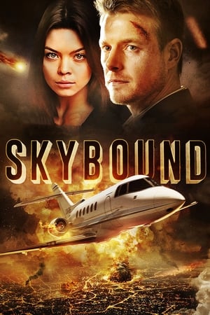 Skybound (2017) Hindi Dual Audio 480p BluRay 350MB Skybound (2017) Hindi Dual Audio 480p BluRay 350MB