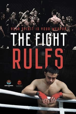 The Fight Rules 2017 Hindi Dual Audio 480p WebRip 260MB The Fight Rules 2017 Hindi Dual Audio 480p WebRip 260MB